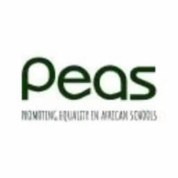 Promoting Equality in African Schools (PEAS)